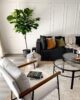 Living room with a handwoven basket, books and a small tree plant in the corner