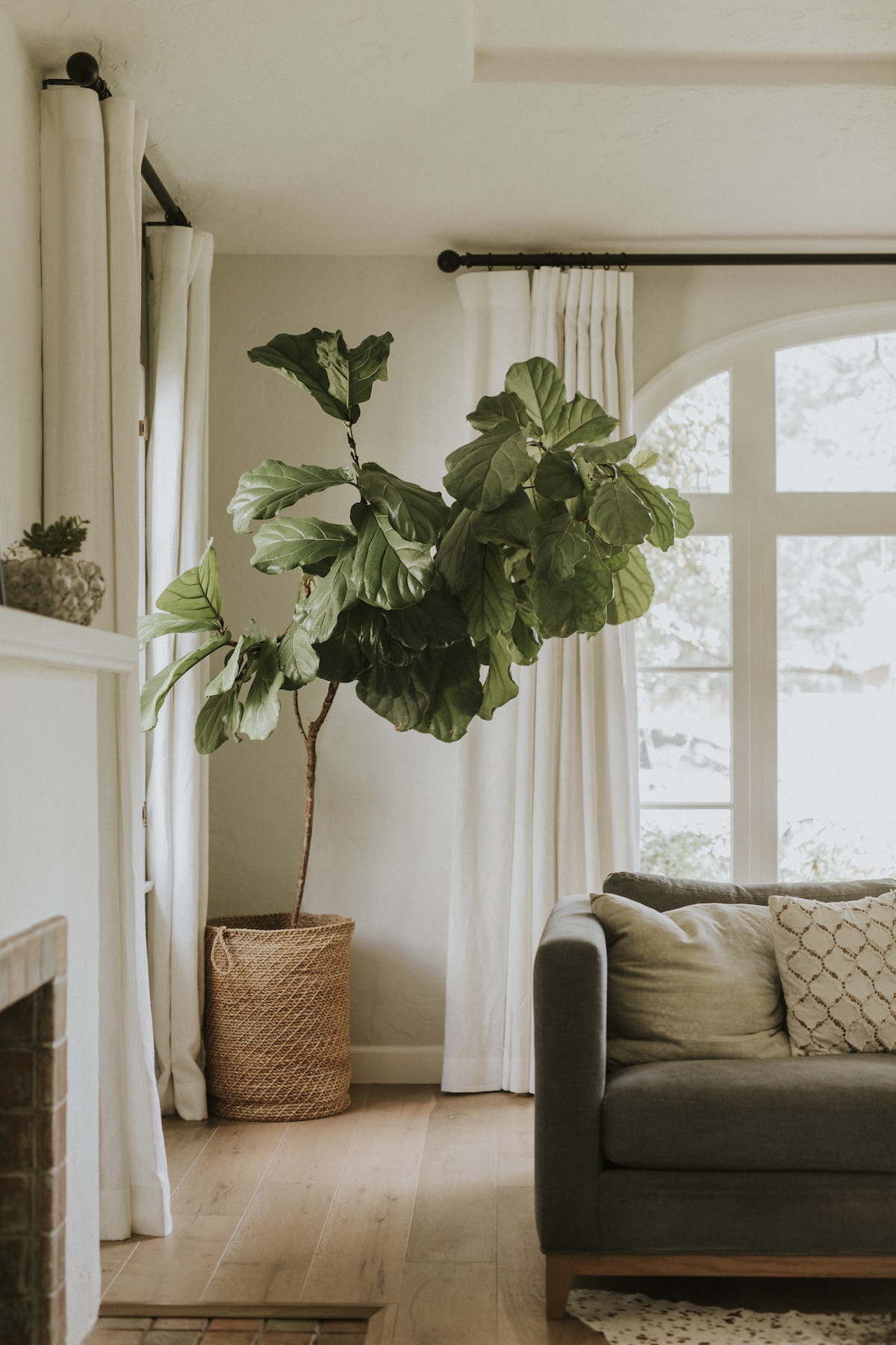add a corner plant