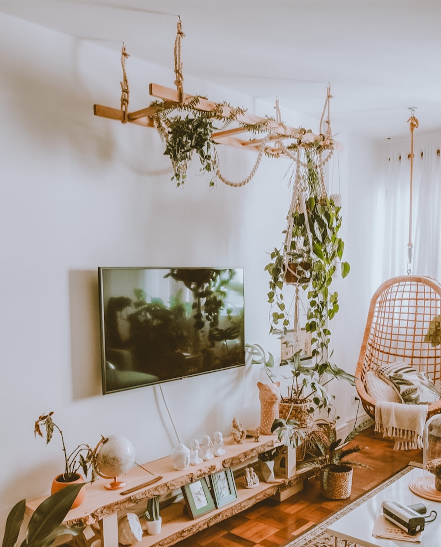 Plant decor living room idea 6