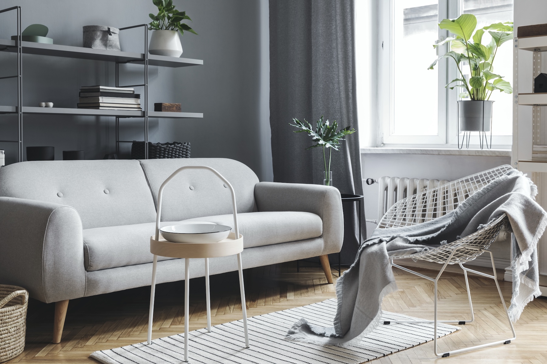 gray is neutral too
