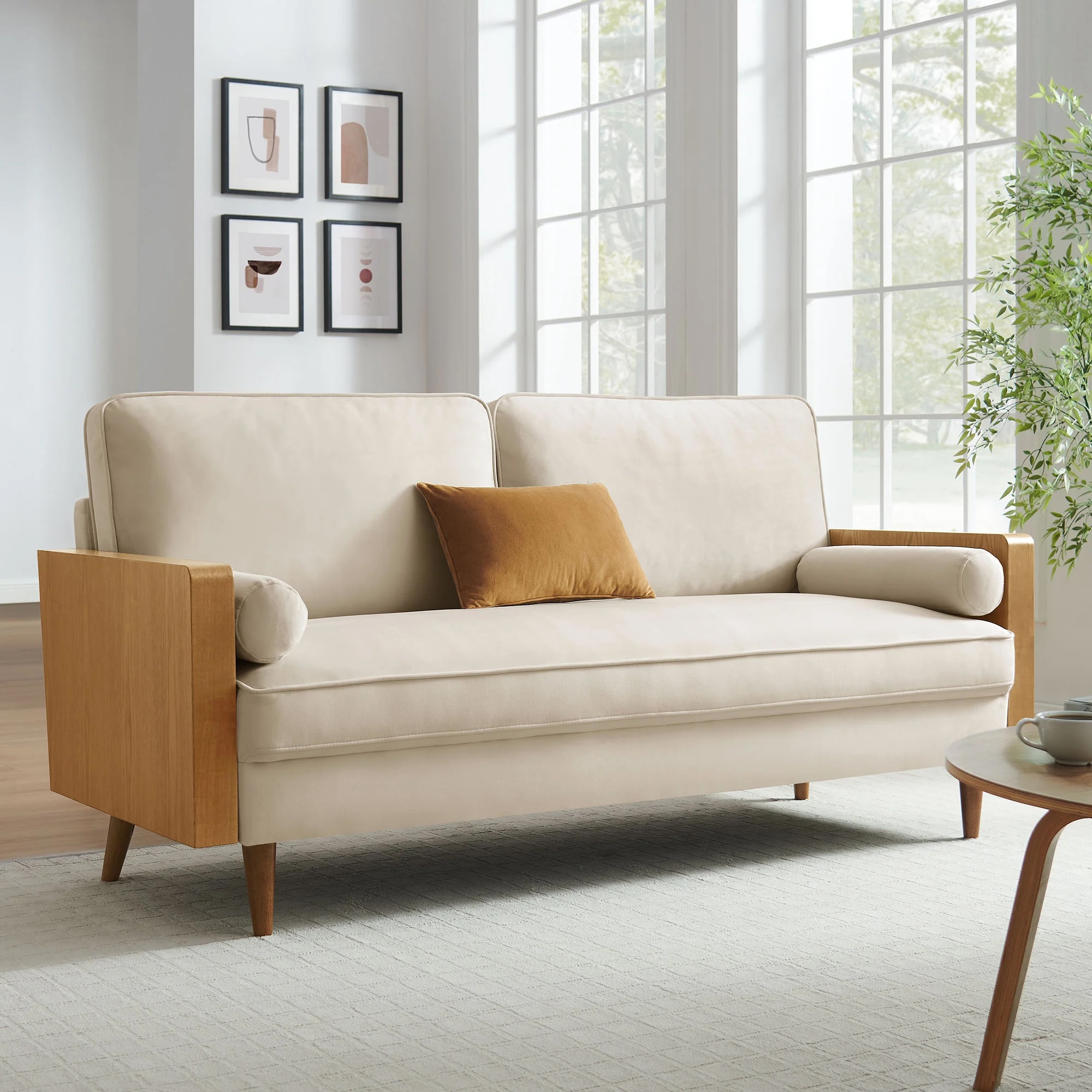 Mid-century modern sofa style 6