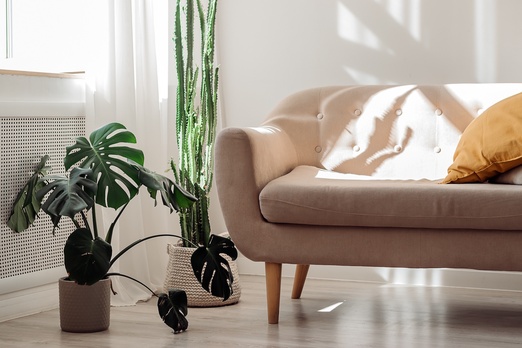 place some common potted plants