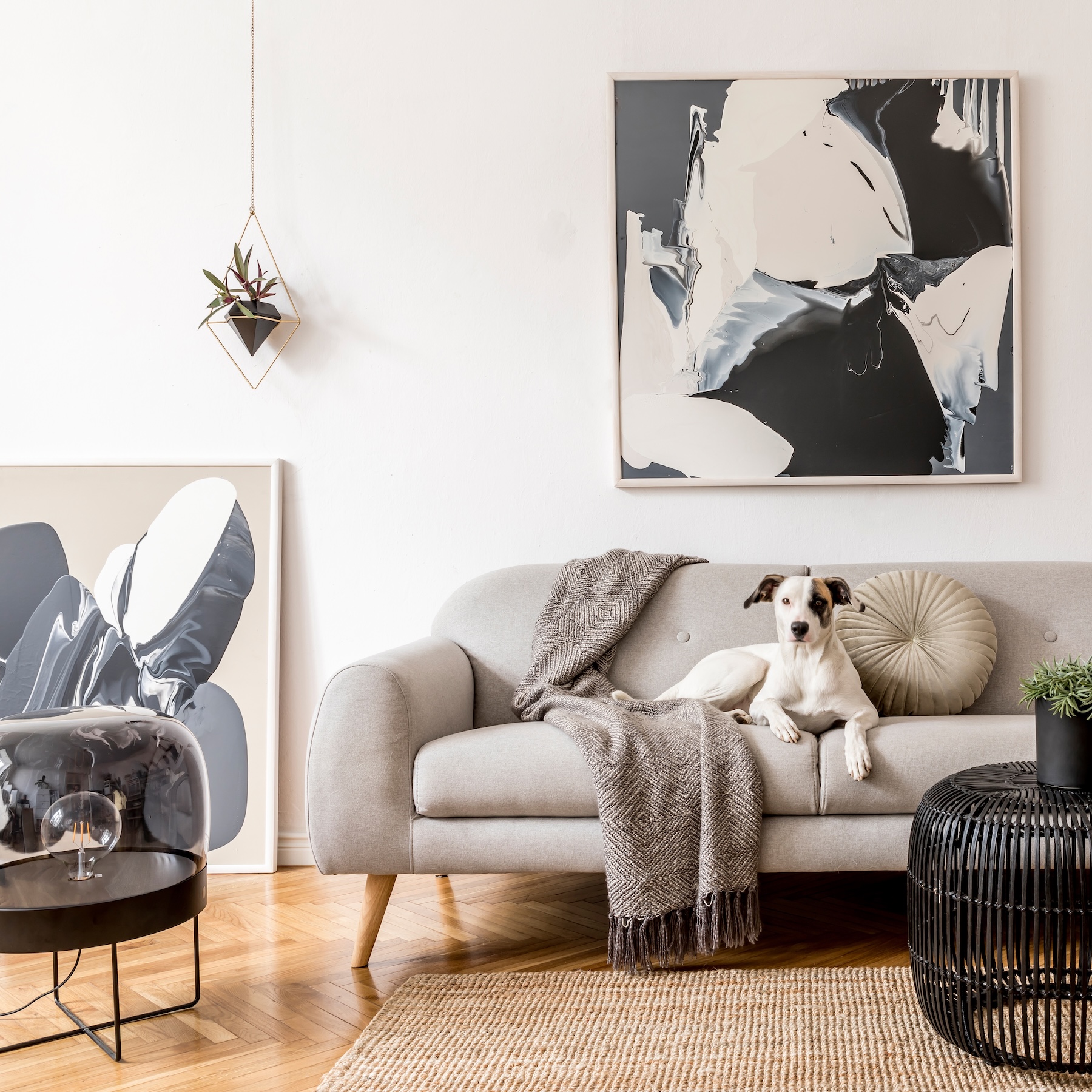 put in neutral-toned couches
